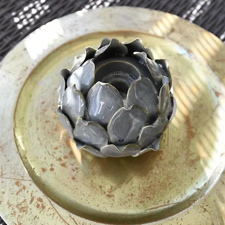 아파트 Lari 자다르